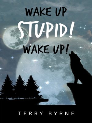 cover image of Wake up Stupid! Wake Up!